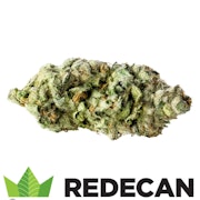 BLACK CHERRY PUNCH - 3.5