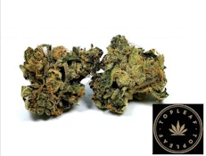 BUBBA - 3.5