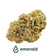 CHEMDOG - 3.5