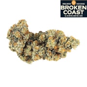 Frost Monster (Gabriola) 3.5g Dried Flower