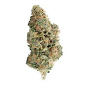 Strawberry Dream (3.5g) - Elevator