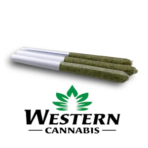 WESTERN CANNABIS - CITRAL GLUE PR3X0.5G