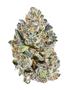 Tribal - Galactic Rntz 3.5g Dried Flower