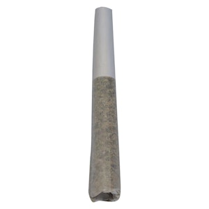 Seeker - Terp N' Tine 1 x 0.5g Pre-Rolls