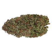 Organic CBD Critical Cure 3.5g Dried Flower