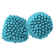 Electric Blue Razz Berries 2 Pack Soft Chews