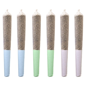 Station House - Station House | Daytime Express Pre-Rolls - Sativa - 6x0.5g