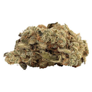 Homage - Homage - Artisan