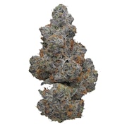 Apple Fritter 7g Dried Flower