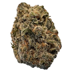 Versus - BC Purple Kush 28g Dried Flower