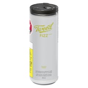 Fizz Pineapple 355ml Beverages