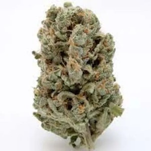 Parcel - Sweet Notes 14g Dried Flower