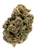 Jungl' Cake | 3.5g