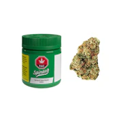 Blue Dream 3.5G
