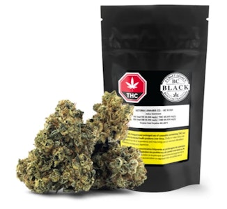 Joint Venture Craft Cannabis - Big Cat Kush (BC Kush) - BC Black