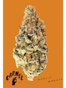 Garlic Breath 3.5g Dried Flower