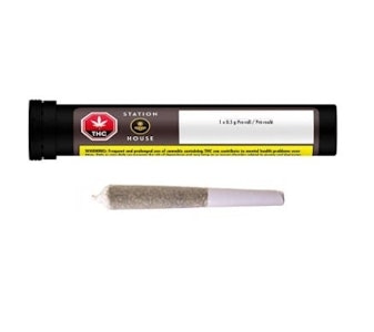 Station House - Northern Lights Single 1 x 0.5G