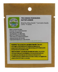 Weathered Island Craft Cannabis x Atlas Seeds - TRI CROSS FEMINIZED SEEDS - 4