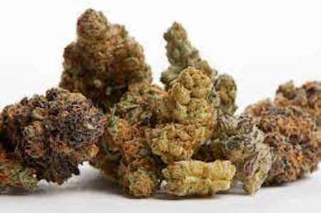 Dr. May - Foobar Flower