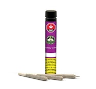 Jungl' Cake 3 x 0.5G