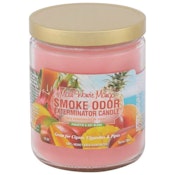 Smoke Odor Candle - Maui Wowie Mango