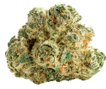 Spinach - SPACE CAKE - 28