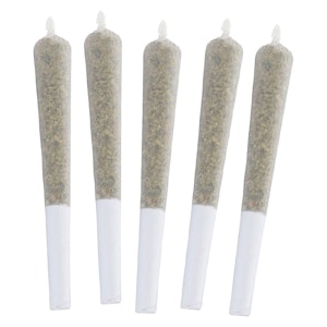 Debunk - Blue Widow 5 x 0.5g Diamond Infused Pre-Rolls