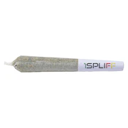 Pink Lemonade Pre-Roll 7x0.5g