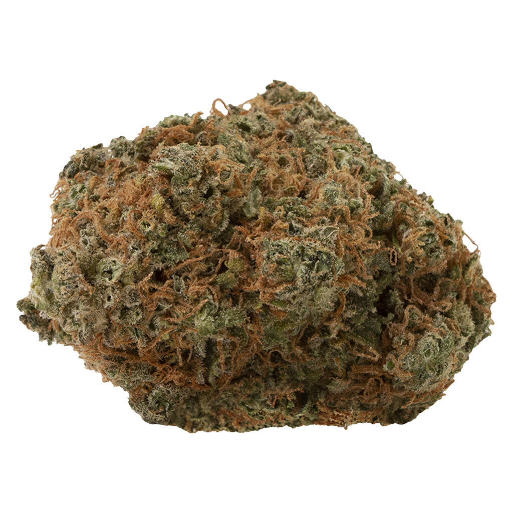 Sativa