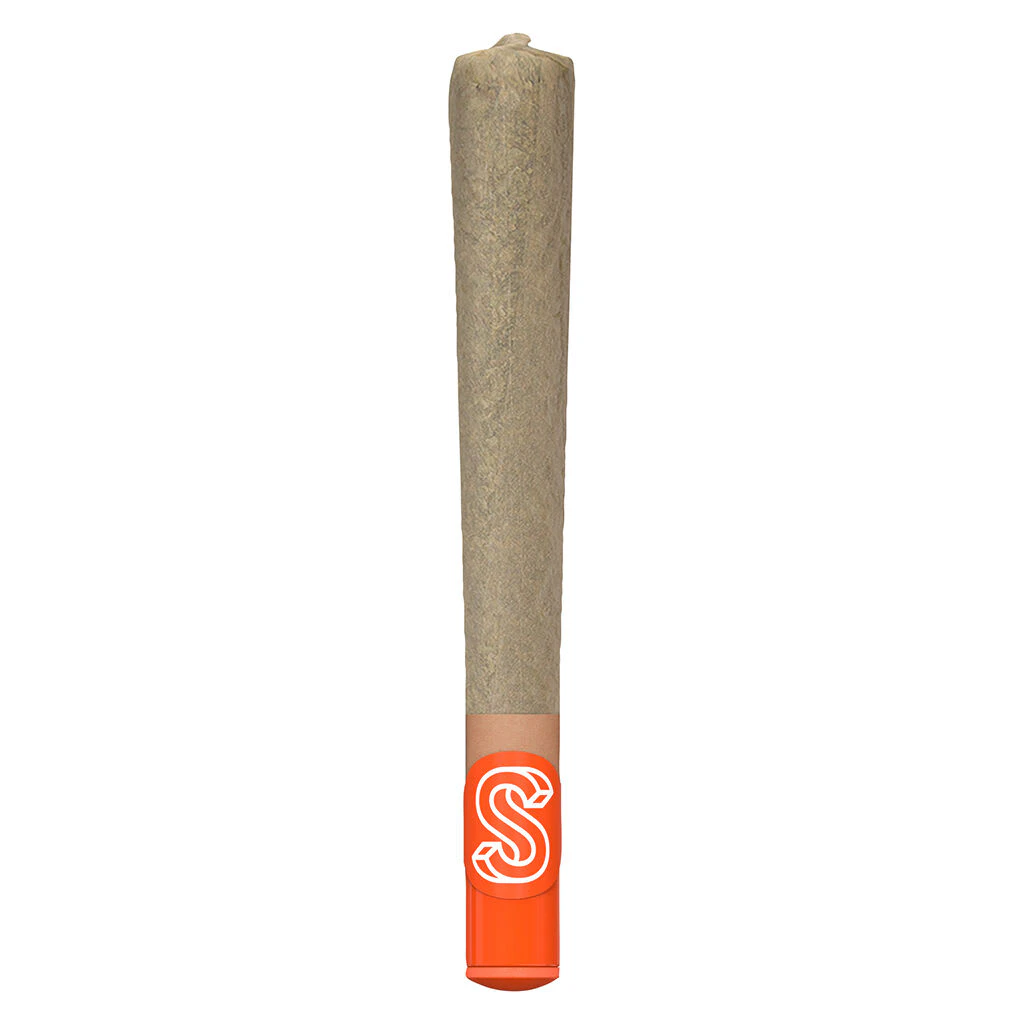 Sherbinskis - Sherbinskis - The New New Pre-Roll 1x1g Pre-Rolls Main Image