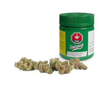 Spinach - 28g - Spinach - Frosted Cream Puffs