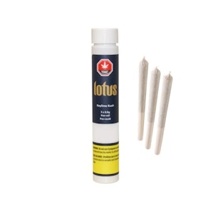 Lotus - Keylime Kush 3 x 0.5G