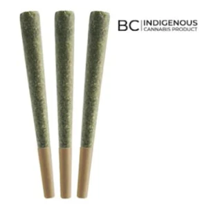 All Nations - GUSH MINTZ PRE-ROLLS - 1.5