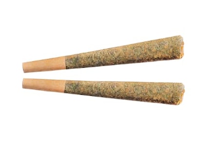 Fuego - Night Rider Pre-Roll