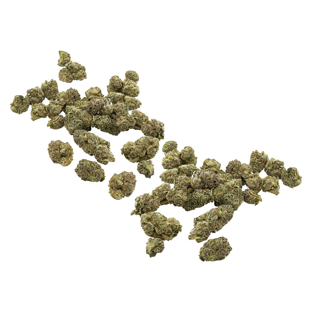 Chance XXL (Lemonatti) 28g Dried Flower