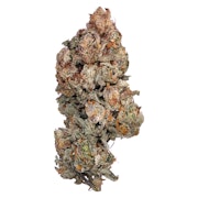 RS-11 3.5g Dried Flower