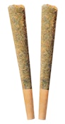 Night Rider Pre-Roll | 2x1g