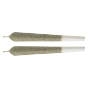 2x1g