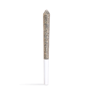 Station House - Station House - Blue Dream - 1x0.5g Pre-Roll - Sativa