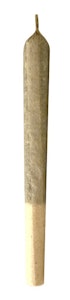 MTL Cannabis  - Jungl' Cake Pre-Roll | 3x0.5g