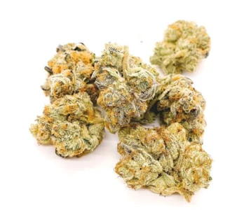 SPACE RACE CANNABIS - Space Gryffins Space Race 3.5g Dried Flower