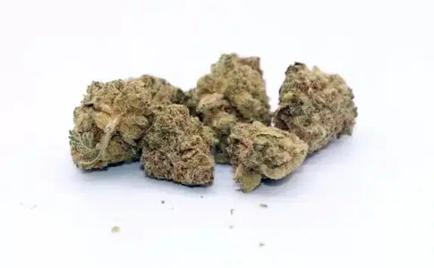 SPACE RACE CANNABIS - Space Goblins Space Race 3.5g Dried Flower