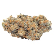 Animal Face Sherb Crasher  Dried Flower