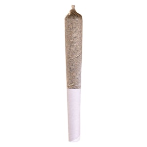 Station House - Blue Dream Express Infused Pre-Roll 1x0.5g