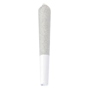 Electric Lettuce Indica 1 x 0.5g Pre-Roll