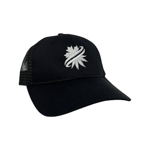 AdCentives Enterprises Ltd. - Valucap - Black