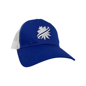 AdCentives Enterprises Ltd. - Valucap - Royal /White