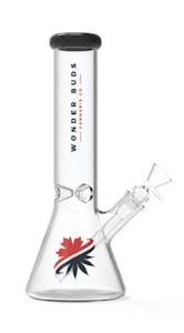 RGR - Clear Beaker Bong - Wonder Buds Glass