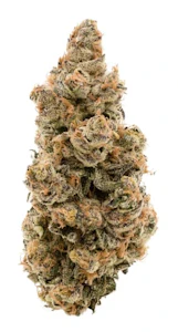 Simply Bare - BC ORGANIC JELLY BREATH - 3.5