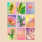 Psychedelic Fleurs - Postcard Print Set (9 Pack)